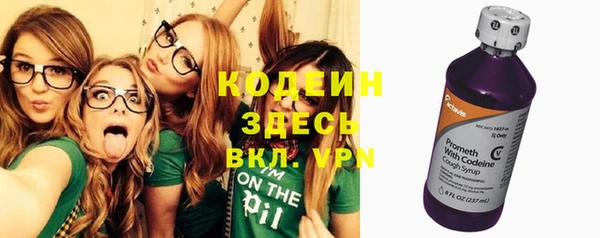 крисы Абаза