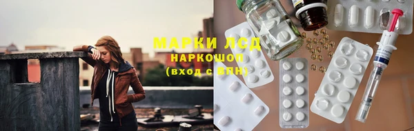 крисы Абаза