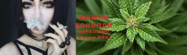 соль ск Алексеевка
