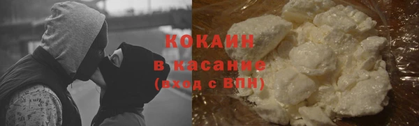 крисы Абаза