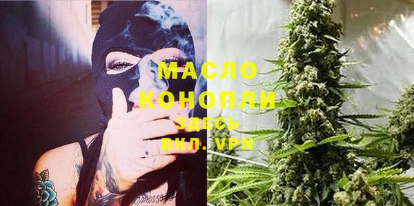 крисы Абаза