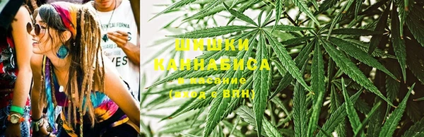крисы Абаза