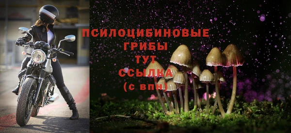 крисы Абаза