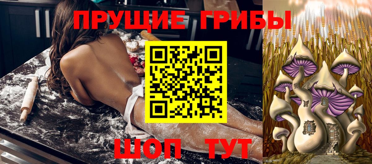 Галлюциногенные грибы Cubensis Черногорск