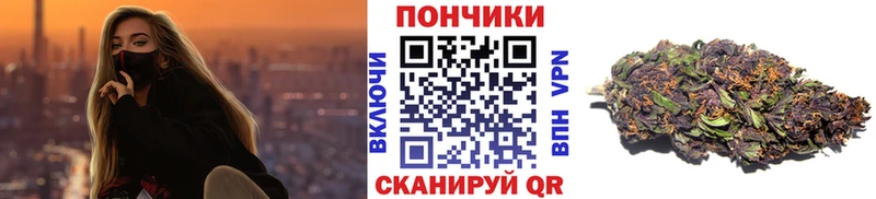 Бошки Шишки планчик  Черногорск 