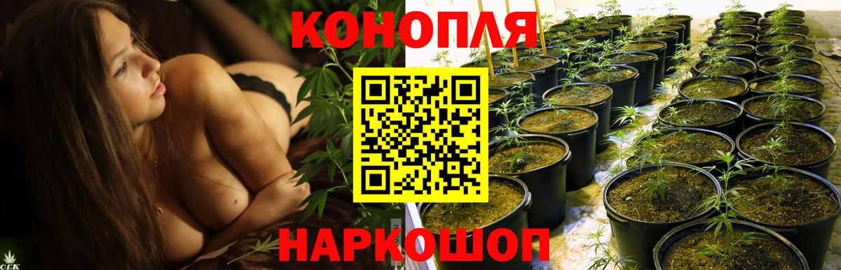 Черногорск  Бошки Шишки гибрид  Вход с VPN  Шишки марихуана тримм 